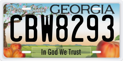 GA license plate CBW8293