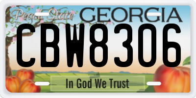 GA license plate CBW8306