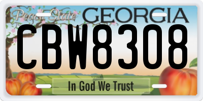 GA license plate CBW8308