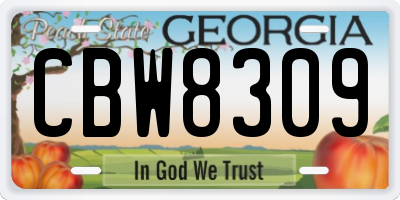 GA license plate CBW8309