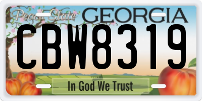 GA license plate CBW8319