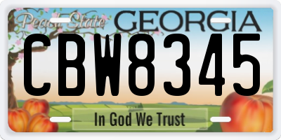 GA license plate CBW8345