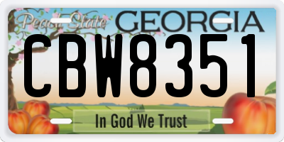 GA license plate CBW8351