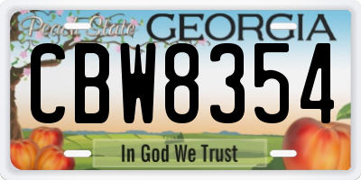 GA license plate CBW8354