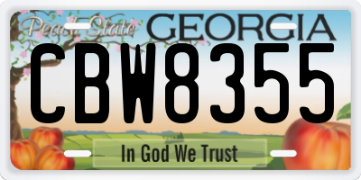 GA license plate CBW8355