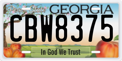 GA license plate CBW8375