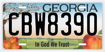 GA license plate CBW8390