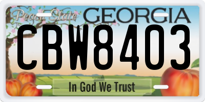 GA license plate CBW8403