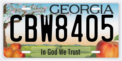 GA license plate CBW8405