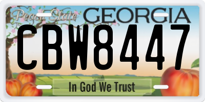 GA license plate CBW8447