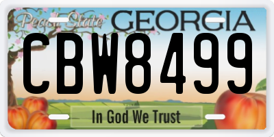 GA license plate CBW8499