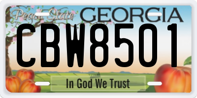 GA license plate CBW8501