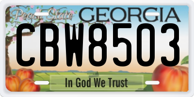 GA license plate CBW8503