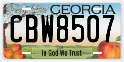 GA license plate CBW8507