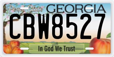 GA license plate CBW8527