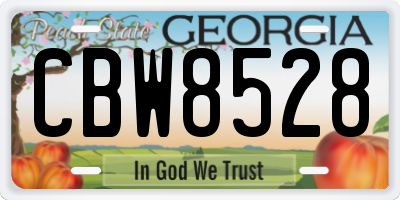 GA license plate CBW8528