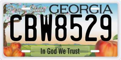 GA license plate CBW8529
