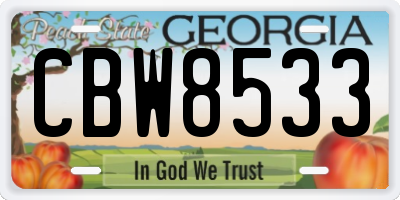 GA license plate CBW8533