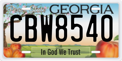 GA license plate CBW8540