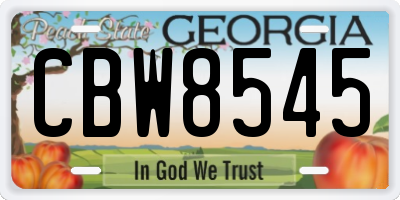 GA license plate CBW8545
