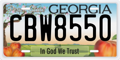 GA license plate CBW8550