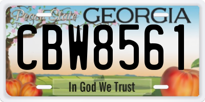 GA license plate CBW8561