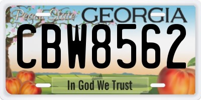 GA license plate CBW8562