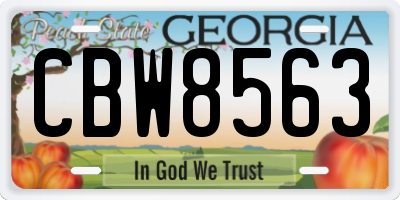 GA license plate CBW8563