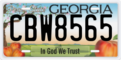 GA license plate CBW8565