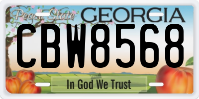 GA license plate CBW8568