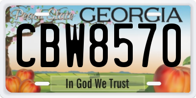 GA license plate CBW8570