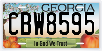 GA license plate CBW8595