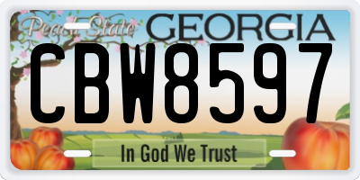 GA license plate CBW8597