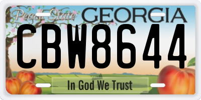 GA license plate CBW8644