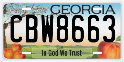 GA license plate CBW8663
