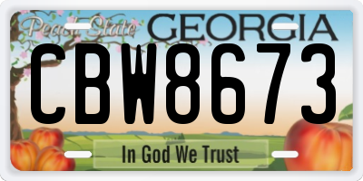 GA license plate CBW8673