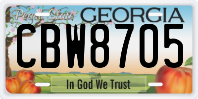 GA license plate CBW8705