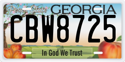 GA license plate CBW8725