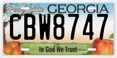 GA license plate CBW8747