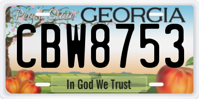GA license plate CBW8753