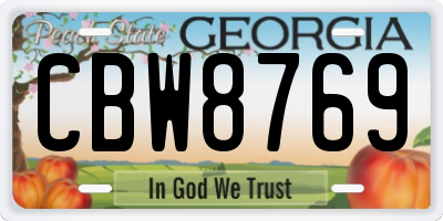 GA license plate CBW8769