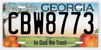 GA license plate CBW8773