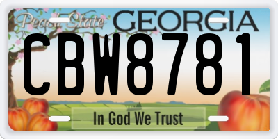 GA license plate CBW8781