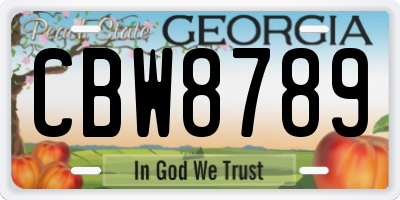 GA license plate CBW8789