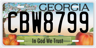 GA license plate CBW8799
