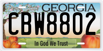 GA license plate CBW8802