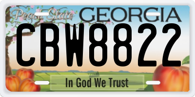 GA license plate CBW8822