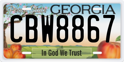 GA license plate CBW8867