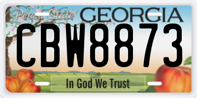 GA license plate CBW8873