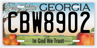 GA license plate CBW8902